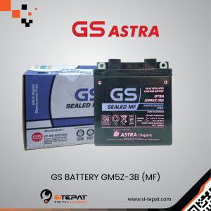 GS BATTERY GM5Z-3B (MF)