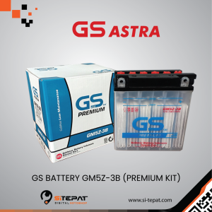 GS BATTERY GM5Z-3B (PREMIUM KIT)