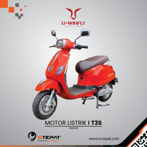 UWINFLY T3S – ORANGE